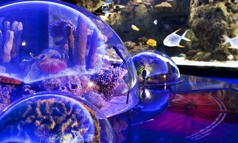 FLORYA AKVARYUM-RAHMİ KOÇ MÜZESİ PANORAMA1453