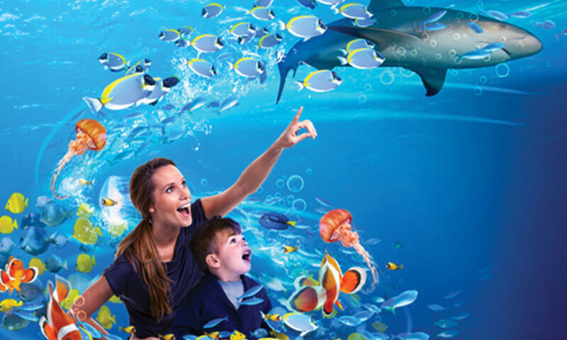 SEA LIFE FORUM AKVARYUM –MİNİATÜRK - PANORAMA1453