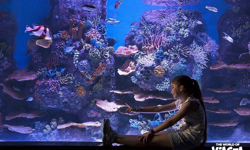 VİASEA AKVARYUM & ASLAN PARK