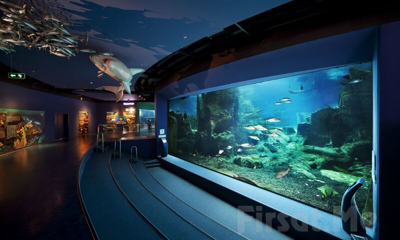 FLORYA AKVARYUM - DİJİTAL DENEYİM MÜZESİ - MİNİATÜRK