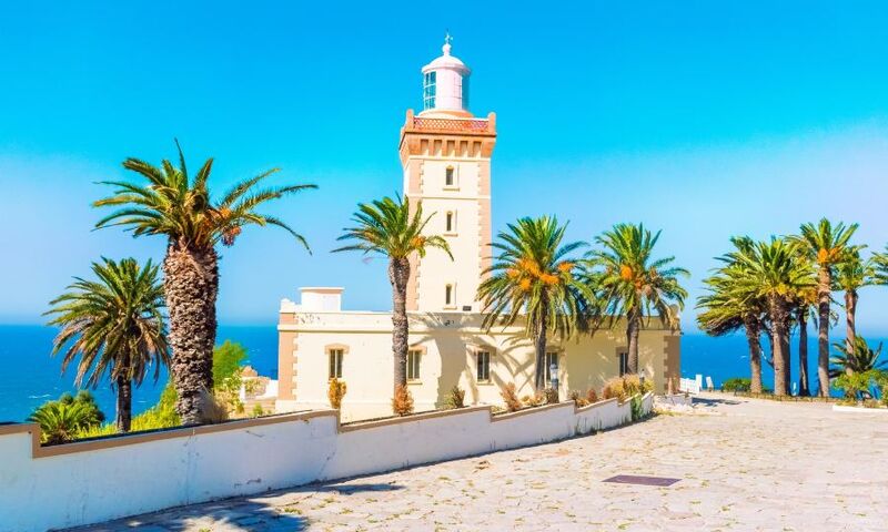 FAS'IN KALBİNE YOLCULUK